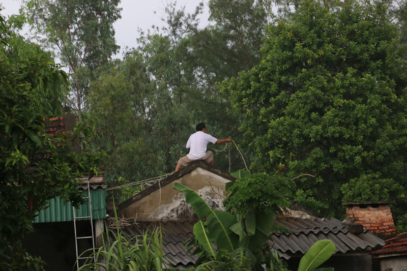 Người dân Hà Tĩnh chằng chống, gia cố nhà cửa trước cơn bão số 10. Ảnh: Minh Thùy