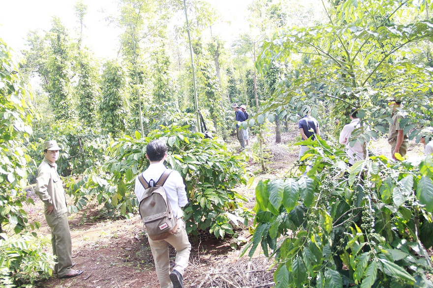 Hiện trường của vụ việc