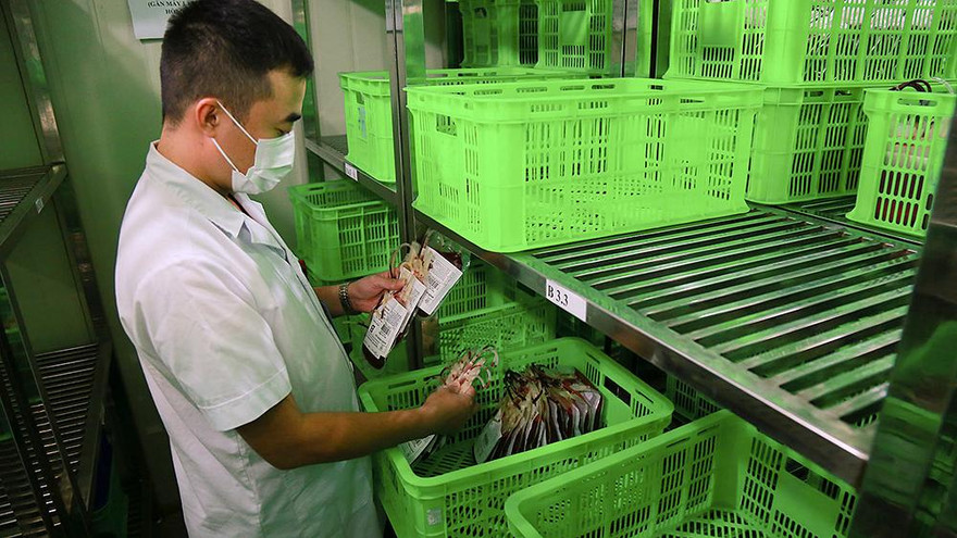 Ngân hàng máu 'kêu cứu', các điểm hiến máu vắng bóng người vì dịch COVID -19
