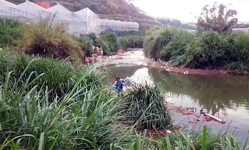 Khu vực hai thanh niên bị điện giật tử vong. Ảnh: Khánh Hương.