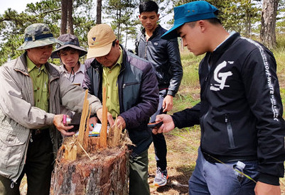 Cánh rừng bị phá nằm gần khu sản xuất nông nghiệp.