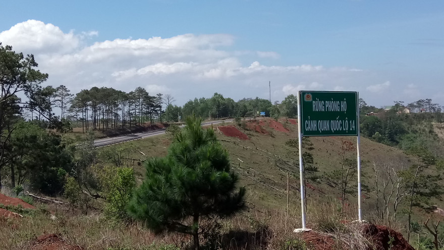 Nhiều diện tích rừng ở Đắk Nông bị tàn phá 