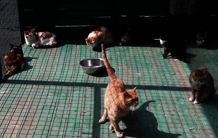 Ảnh minh hoạ: Tass