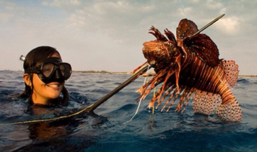 Kimi Werner (35 tuổi, sống tại Hawaii) là một “thợ săn cá” sở hữu thân hình quyến rũ, gợi cảm của một người phụ nữ và khả năng săn bắt cá siêu phàm như một người đàn ông.