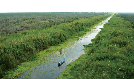 Vườn quốc gia U Minh Thượng (Ảnh: SGGP)