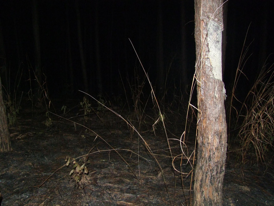 Hiện trường nơi phát hiện thi thể nạn nhân. Ảnh: congankontum.gov.vn