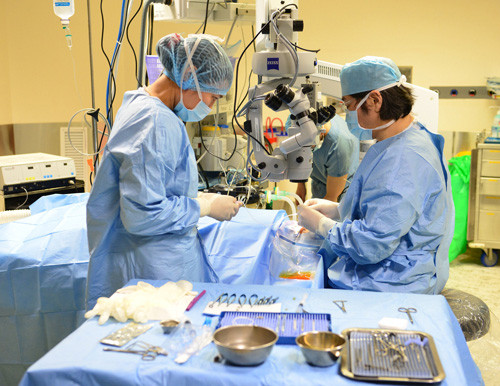 Trước đây đã có khoảng 30 ca được ghép giác mạc thành công tại BV FV