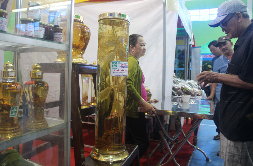 Những bình rượu sâm quý có giá từ vài triệu đến hàng trăm triệu đồng