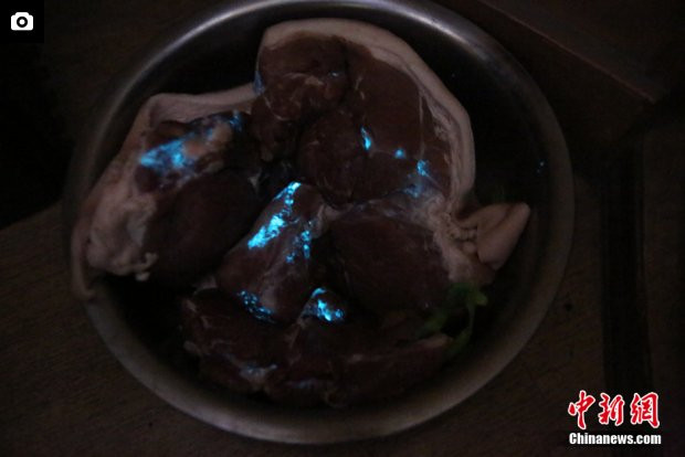 Hình ảnh chậu thịt lợn phát ra ánh sáng xanh rùng mình.