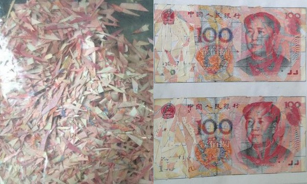 Cha cắt vụn cả trăm triệu, con ngồi tỉ mẩn 3 tháng dán lại