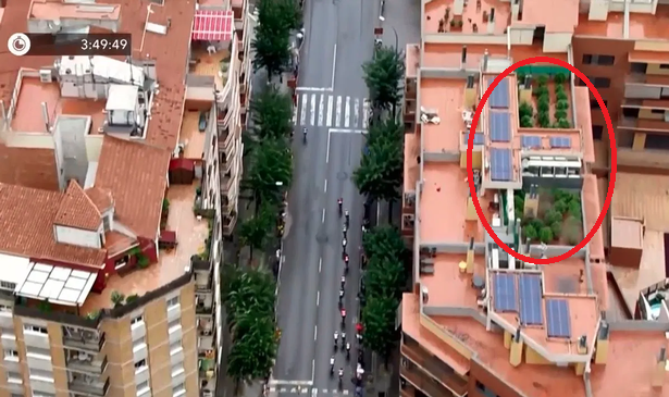 Vườn cần sa khủng trên mái nhà. Ảnh cắt từ video