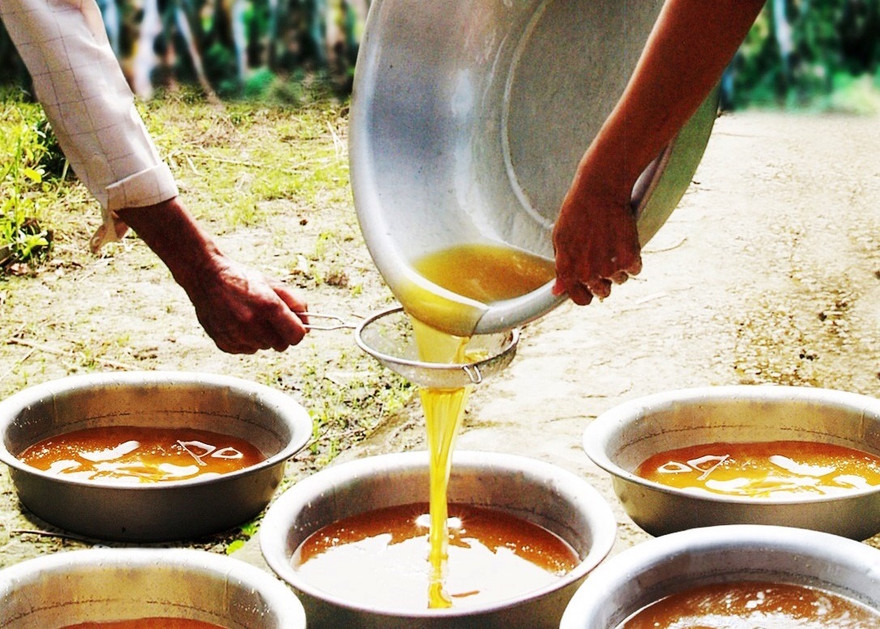 Tách lọc mật ong tự nhiên U Minh Hạ