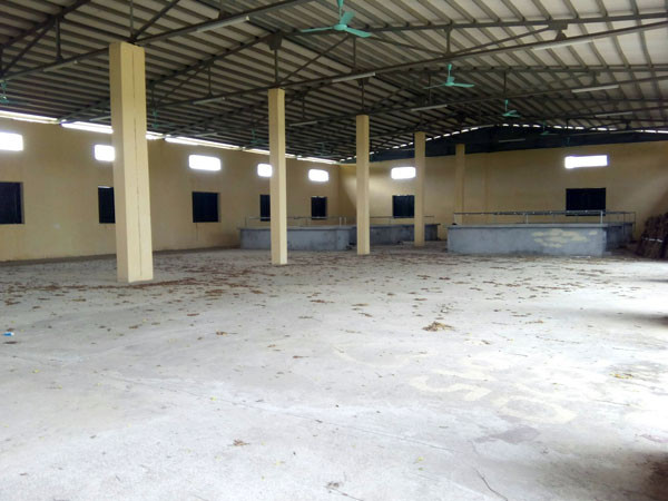 Nhà sơ chế bỏ hoang. Ảnh: Minh Đức