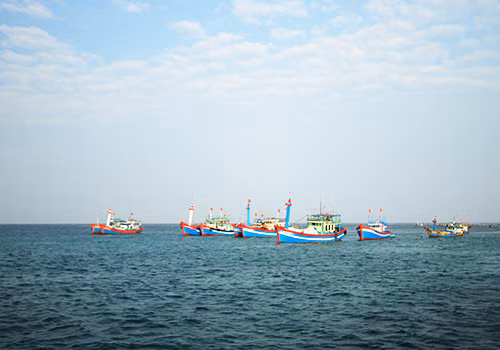 Trường THCS Hoàng Sa sẽ ưu tiên cho con em các ngư dân phường Thọ Quang đang ngày đêm đánh bắt trên ngư trường Hoàng Sa, giúp họ yên tâm bám biển. Ảnh: Nguyễn Đông.
