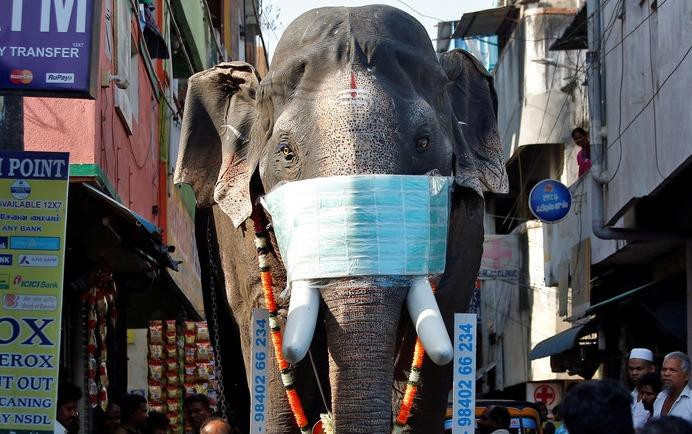 Ảnh minh hoạ: Reuters