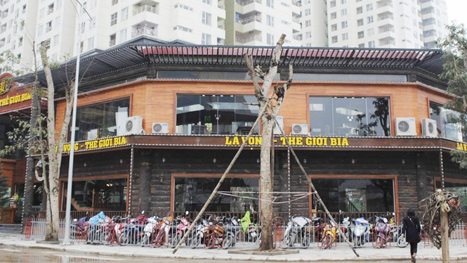 Thanh tra Chính phủ yêu cầu rà soát lại nghĩa vụ tài chính với dự án của Công ty Lã Vọng tại khu đô thị Đông Nam Trần Duy Hưng