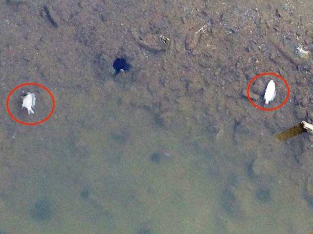 Nhờ dân bản địa giúp đỡ, phóng viên Tiền Phong vào công trường theo đúng theo quy trình của Formosa đặt ra. 