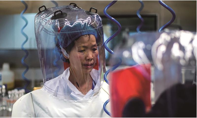 Bà Shi Zhengli. Ảnh: Viện Virus học Vũ Hán