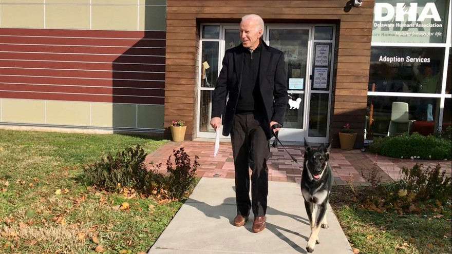 Ông Biden và chú chó cưng Major. Ảnh: AP