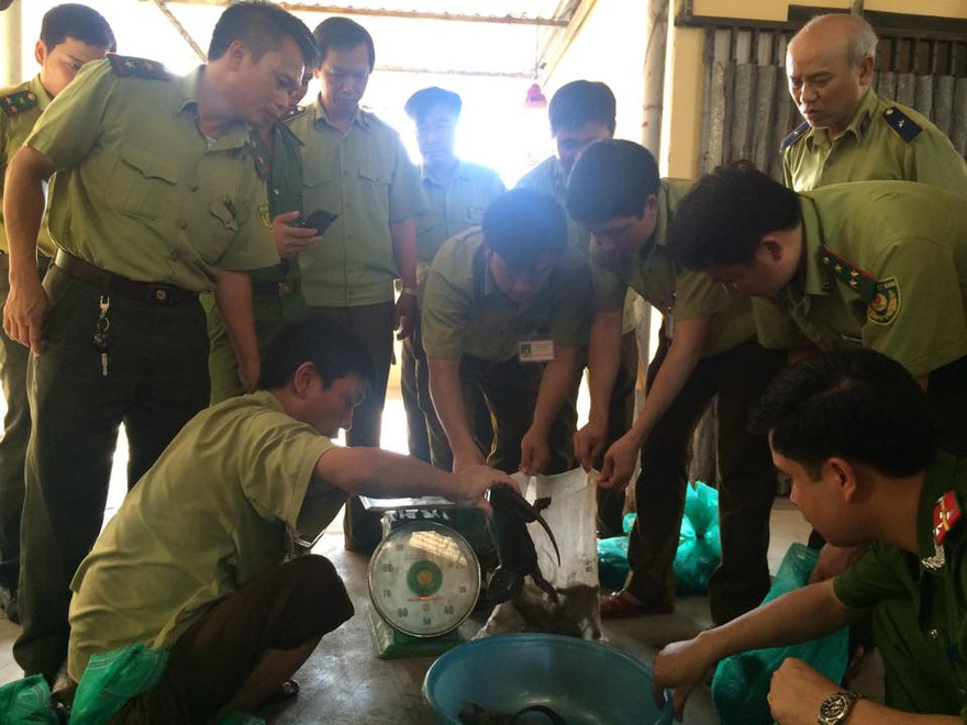 Lực lượng chức năng kiểm đếm hàng hoá không giấy tờ.