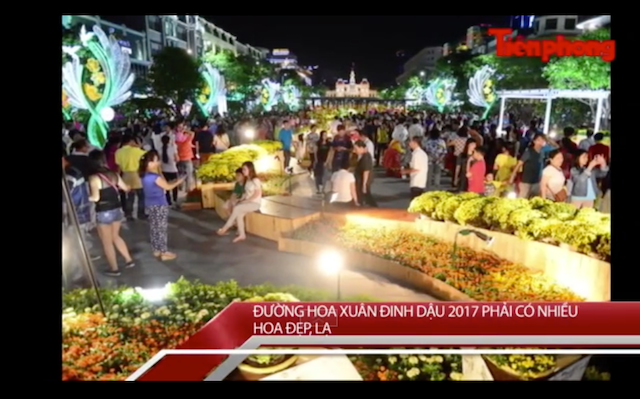 Tin nóng 24H: 'Đường hoa xuân Đinh Dậu phải có nhiều hoa đẹp, lạ'