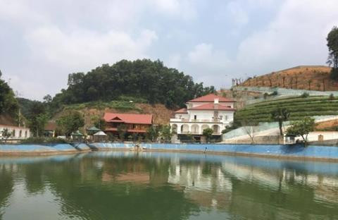 Biệt phủ của gia đình ông Quý