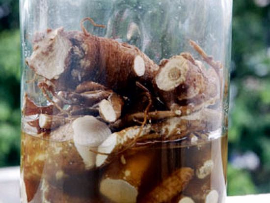 Nhầm rễ cây thương lục với sâm Hàn