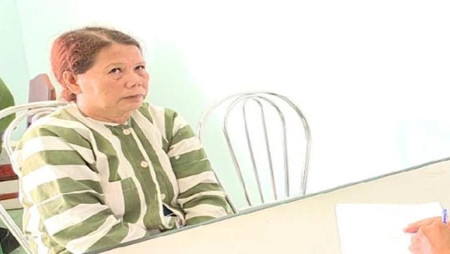 Đặng Thị Đậm bị bắt giữ sau 20 năm trốn truy nã