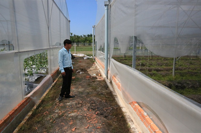 Lưới nhà kính bị rạch nát. Ảnh Nông nghiệp
