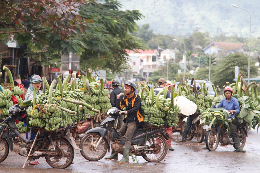 Chuối tại chợ chuối Tân Long (Hướng Hóa, Quảng Trị) giá tụt thê thảm, chỉ còn 1-2 ngàn đồng/kg. ẢNH: H.T
