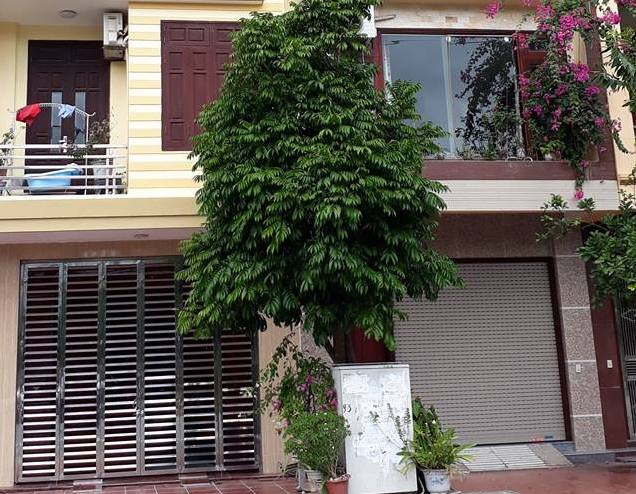 Nhà chủ tịch phường Lê Hồng Phong (phải). Ảnh: TH