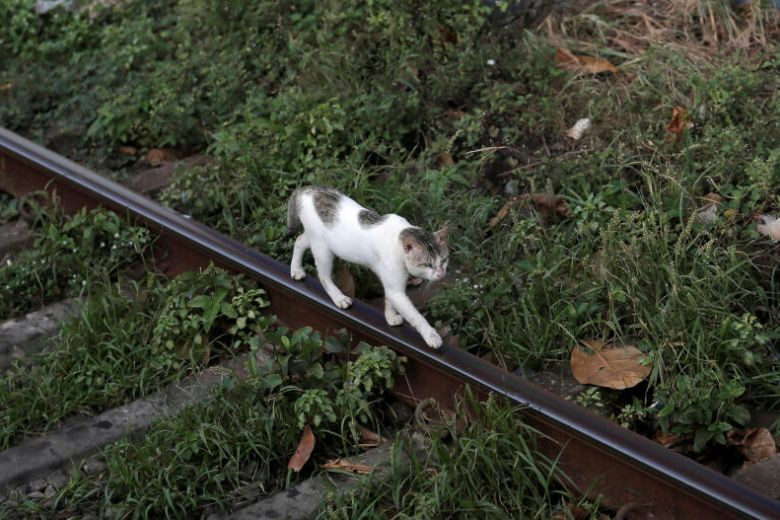 Ảnh minh hoạ: Reuters