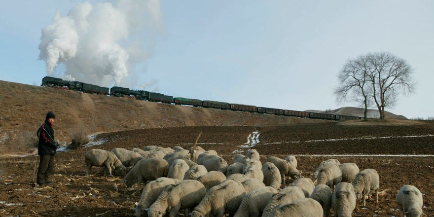 Ảnh minh họa: Getty