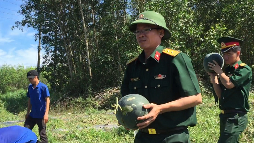 Nghỉ lễ, bộ đội ra ruộng dưa giúp dân