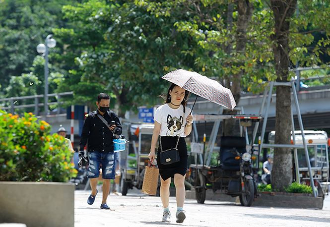 Ảnh minh hoạ: Như Ý