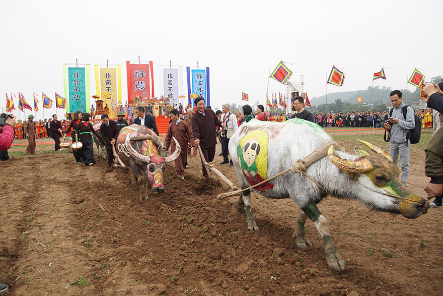 Xem 'Nhà Vua' 95 tuổi xuống đồng làm lễ Tịch Điền 