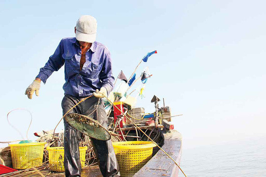 Ngư dân khoe "chiến tích" đầy ốc