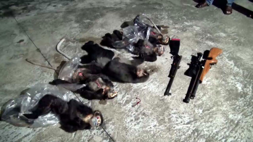 Tang vật vụ săn bắn động vật hoang dã