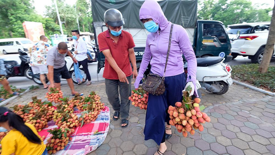 Vải Bắc Giang được bán với giá 20.000 đồng/kg ở Thủ đô