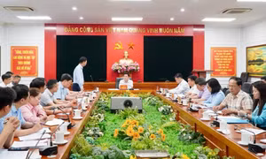 Phú Thọ sắp có khu nhà ở xã hội quy mô hơn 3.000 tỷ đồng