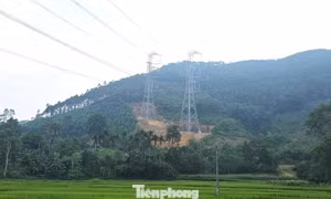 Nhà thầu nói gì về sự cố sạt lở tại chân cột điện 500kV Lào Cai - Vĩnh Yên?