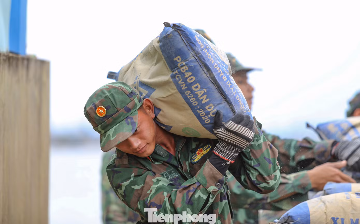 tp-c_img-0096.jpg