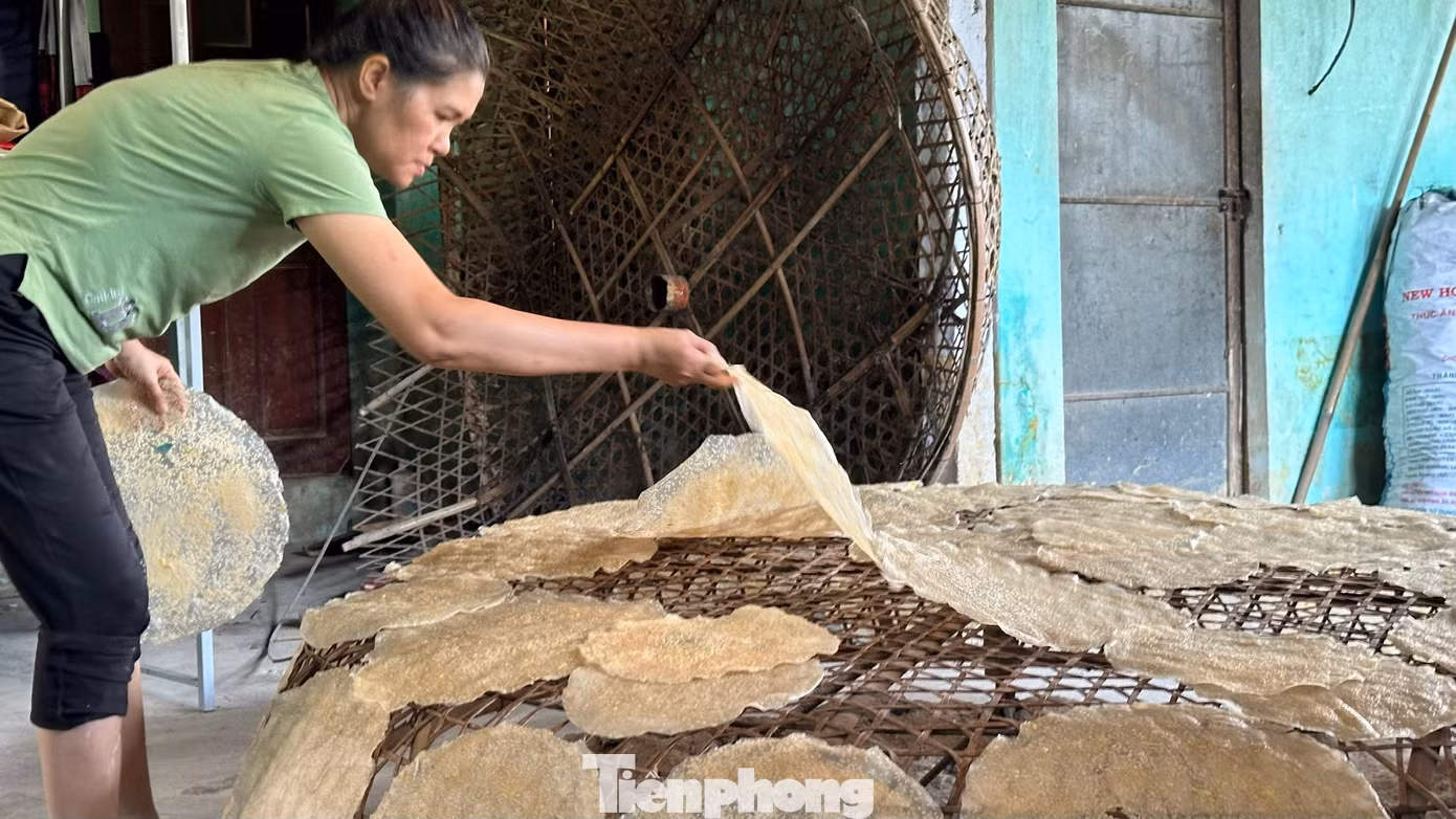 tp-bangtrang-tuyloan-1c.jpg