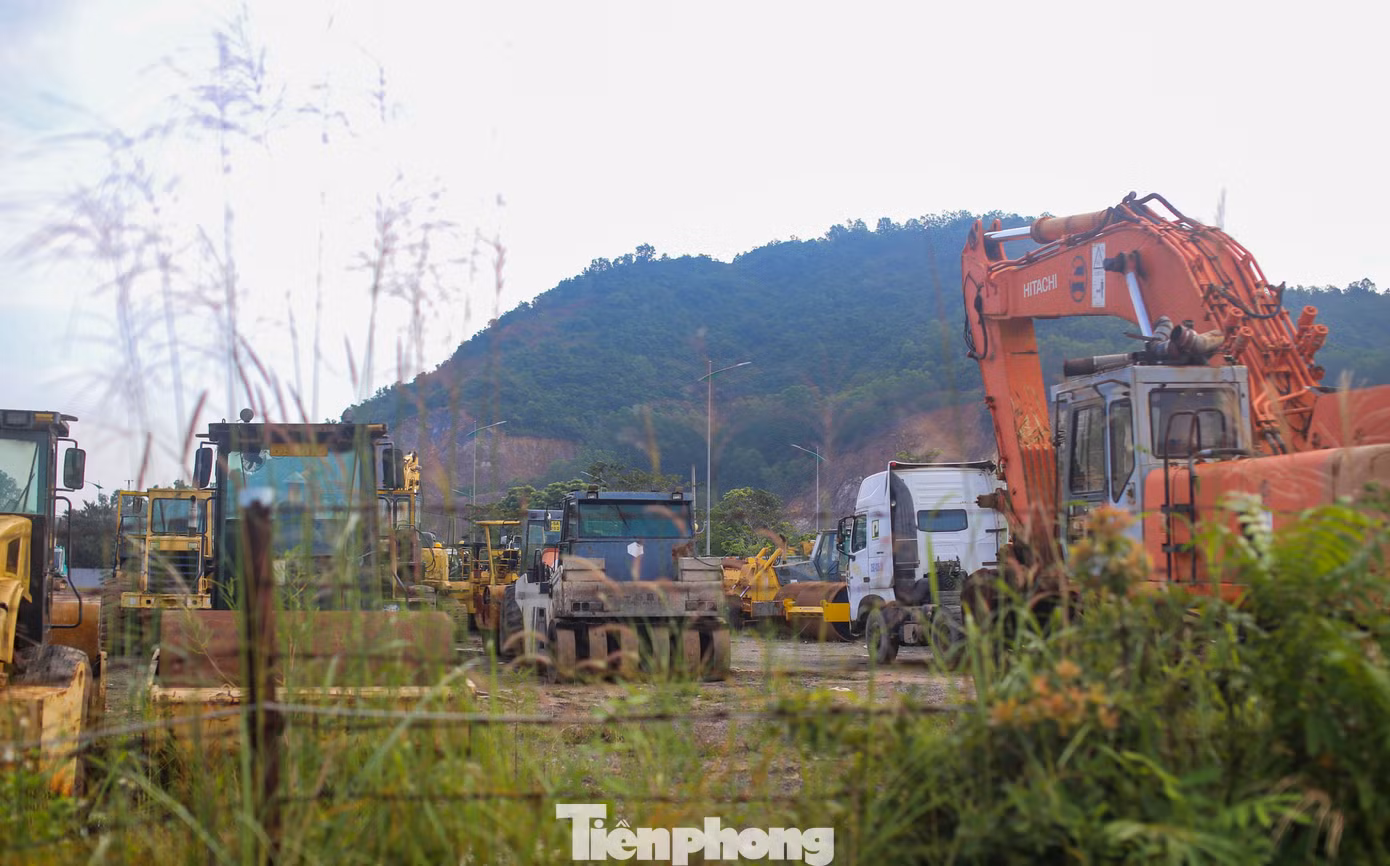 tp-h5.jpg