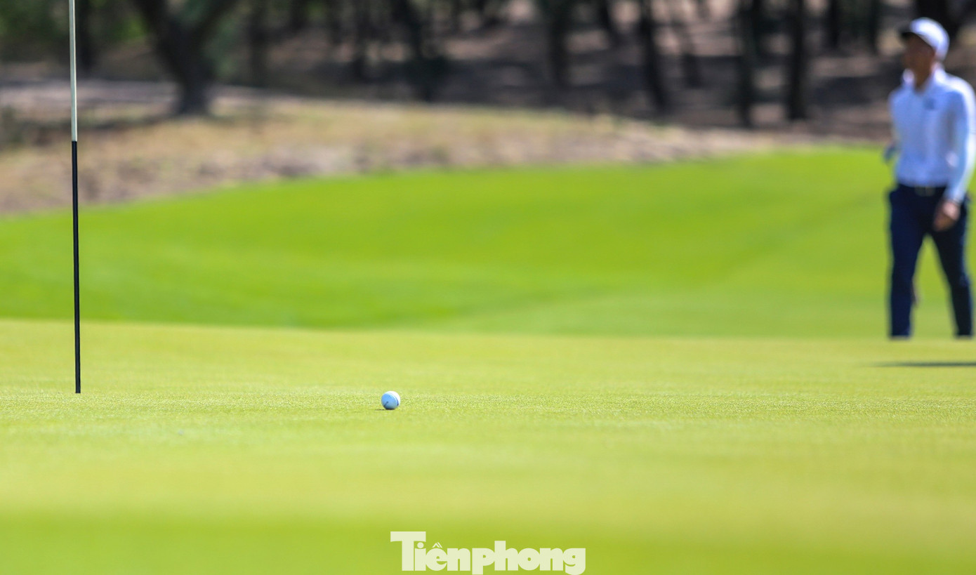 FLC Golf Links Quy Nhon: где природа создает идеальную игровую площадку, фото 13 tp-h0.jpg