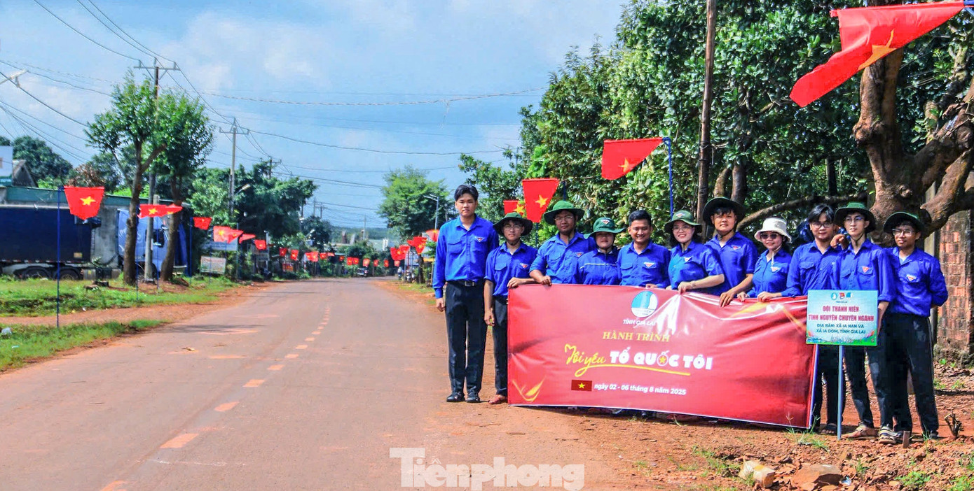 tp-d6.jpg