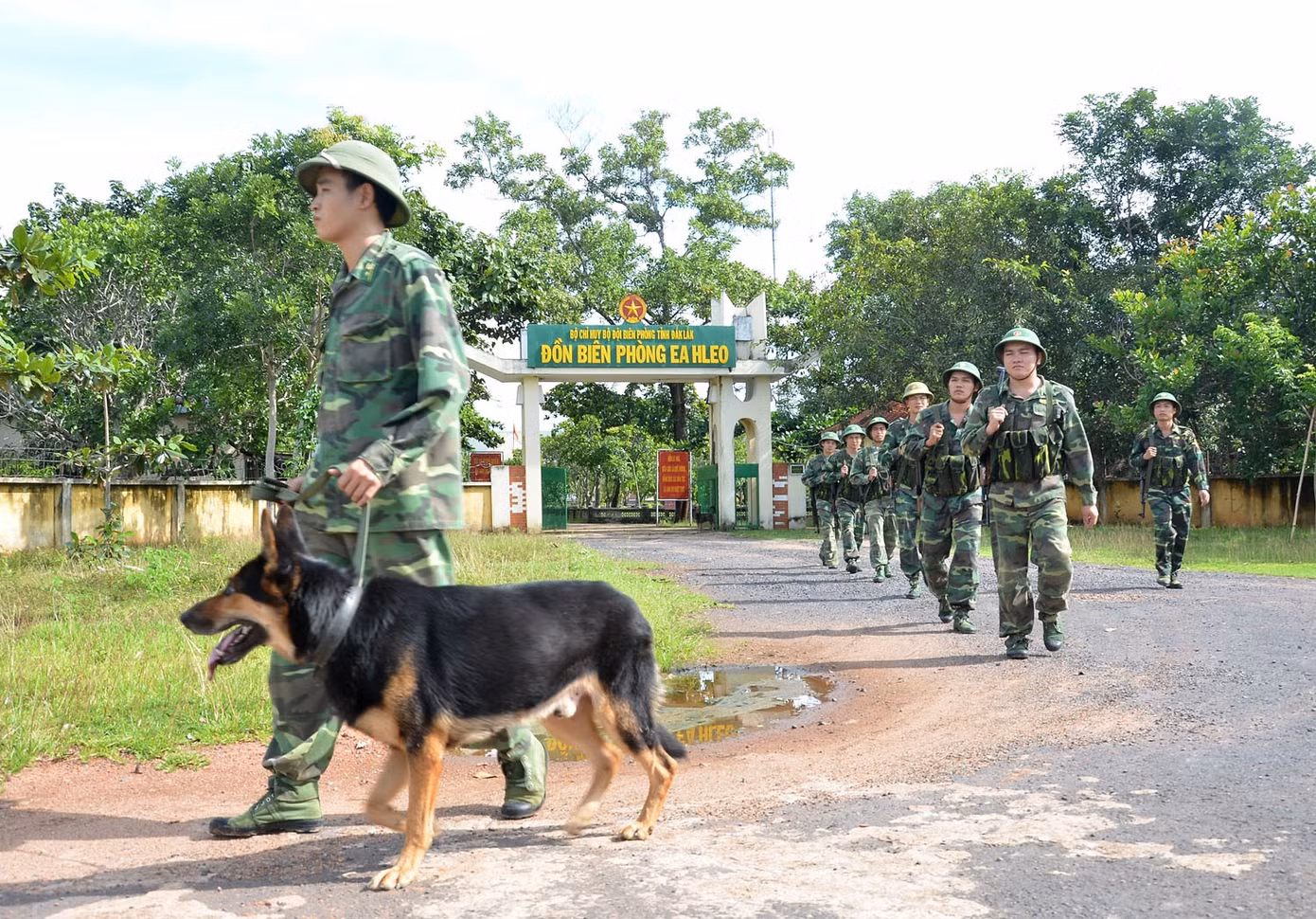 7-phai-rung-bien.jpg
