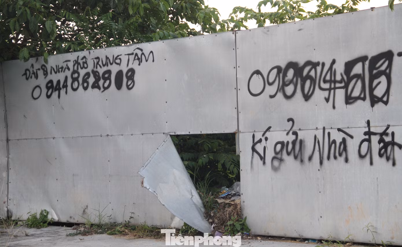 tp-r0.jpg