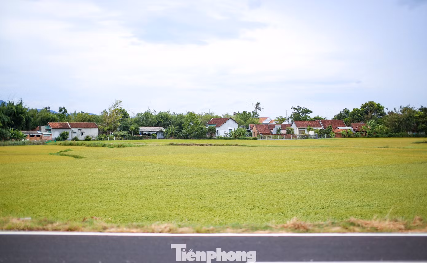 tp-d0.jpg