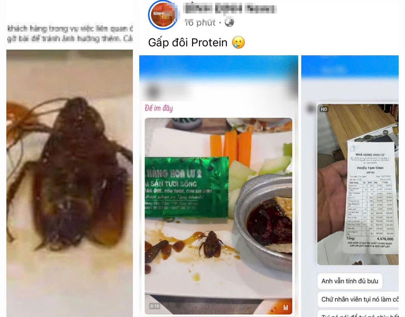 Khách tố trong món ăn tại nhà hàng H.L2 có gián. Ảnh chụp màn hình gian1.jpg